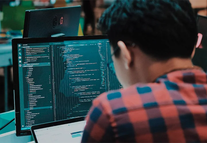 Software development