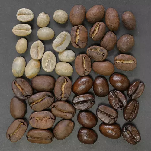 Software Cáfe Software Cáfe