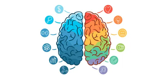 Neuromarketing, la publicidad con cerebro.