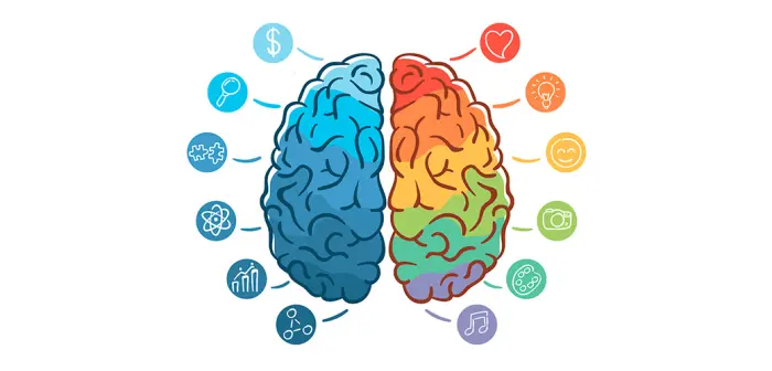 Neuromarketing, la publicidad con cerebro.
