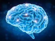 Use su cerebro con más inteligencia (parte 2) Use su cerebro con más inteligencia (parte 2)