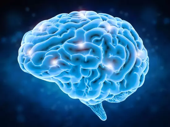 Use su cerebro con más inteligencia (parte 2)