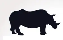 Declaran oficialmente extinto al rinoceronte negro occidental Declaran oficialmente extinto al rinoceronte negro occidental
