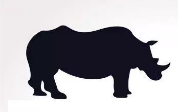 Declaran oficialmente extinto al rinoceronte negro occidental