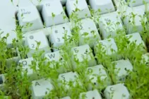 Uso de nuevas tecnologías busca preservación del medio ambiente, no un producto amigable. Uso de nuevas tecnologías busca preservación del medio ambiente, no un producto amigable.